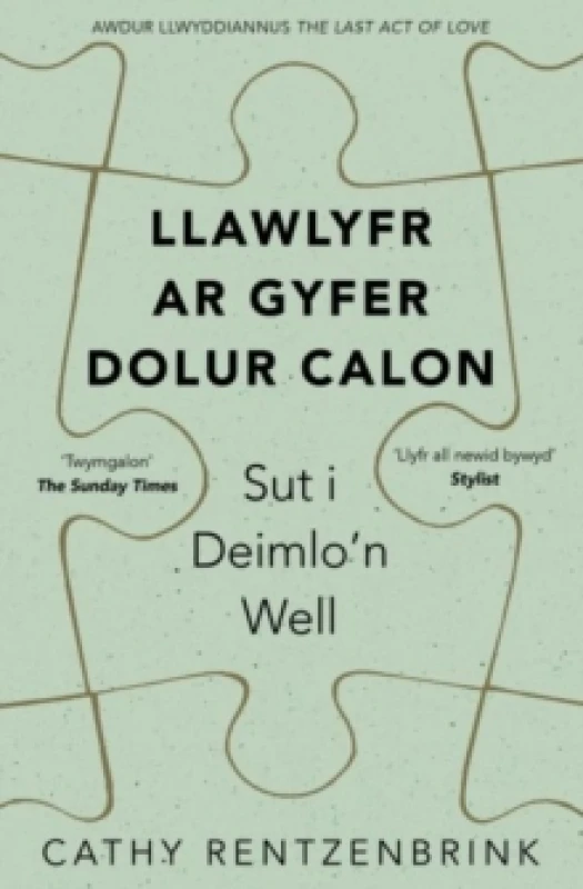 Image of Darllen yn Well: Llawlyfr ar Gyfer Dolur Calon Paperback / softback