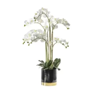 Image of Gallery Interiors Orchid White with Black Gold Pot