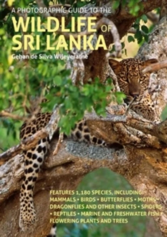 Image of A Photographic Guide to the Wildlife of Sri Lanka Paperback / softback