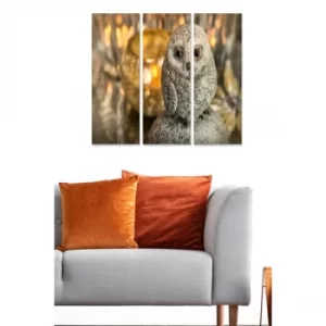 Image of MDF3862225 Multicolor Decorative MDF Painting (3 Pieces)