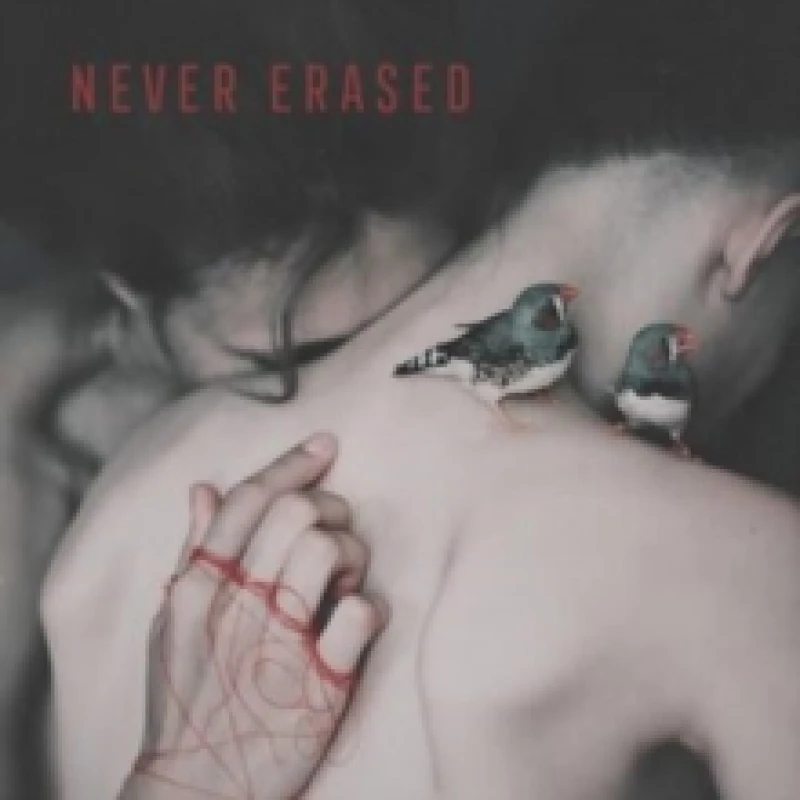 Image of Never erased Vinyl