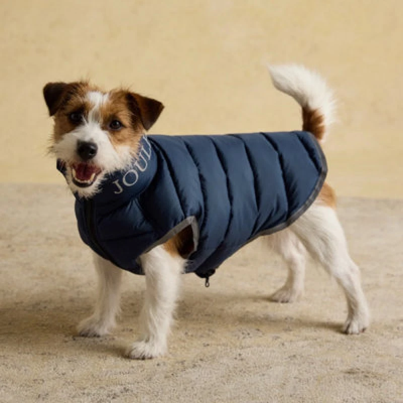 Image of Rosewood X Joules Moorsdale Navy Reversible Puffer Dog Coat