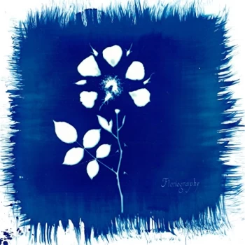 Image of Painted Zeros - Floriography CD