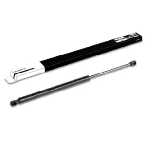 Image of RIDEX Tailgate strut 219G0370 Gas spring, boot- / cargo area,Boot struts PEUGEOT,308 SW I (4E_, 4H_),308 SW I Kasten / Kombi (4E_)