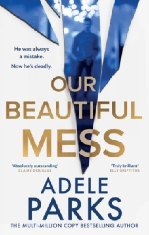 Image of Our Beautiful Mess Hardback