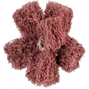 Image of Polinox Cross Buff PNST 50-2 A 80