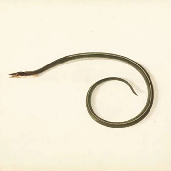 Image of Desaccord Majeur - Sunquake Vinyl