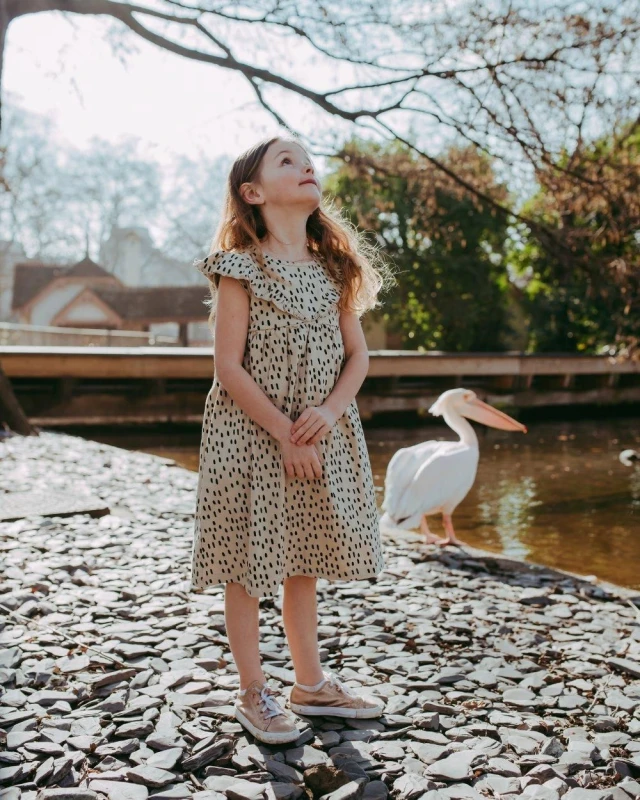 Image of Turtledove London Girl's Doodle Dress in Grey Size: 2-3 Years Grey Female 2-3 Years