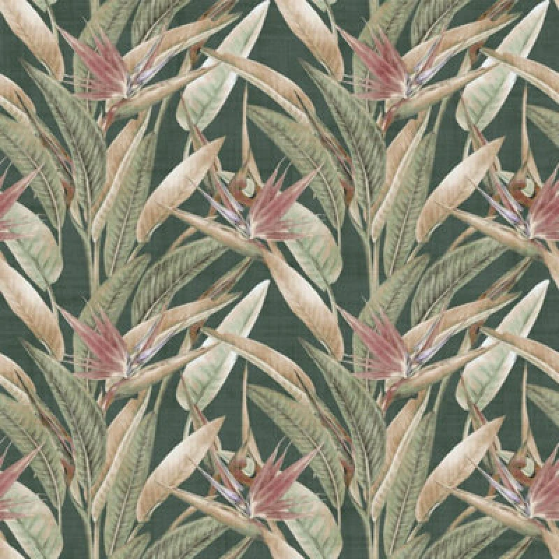 Image of Arthouse Soft Jungle Vines Deep Green Wallpaper