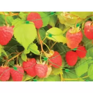 Image of Apollo Garden Garden Net Green 3m x 2m