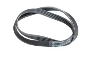 Image of CONTITECH V-ribbed belt 4PK800 Serpentine belt,Auxiliary belt OPEL,FIAT,TOYOTA,Omega B Limousine (V94),Omega B Caravan (V94)