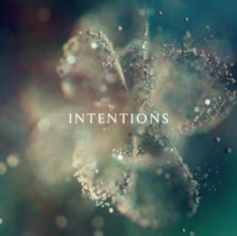 Image of Intentions Vinyl