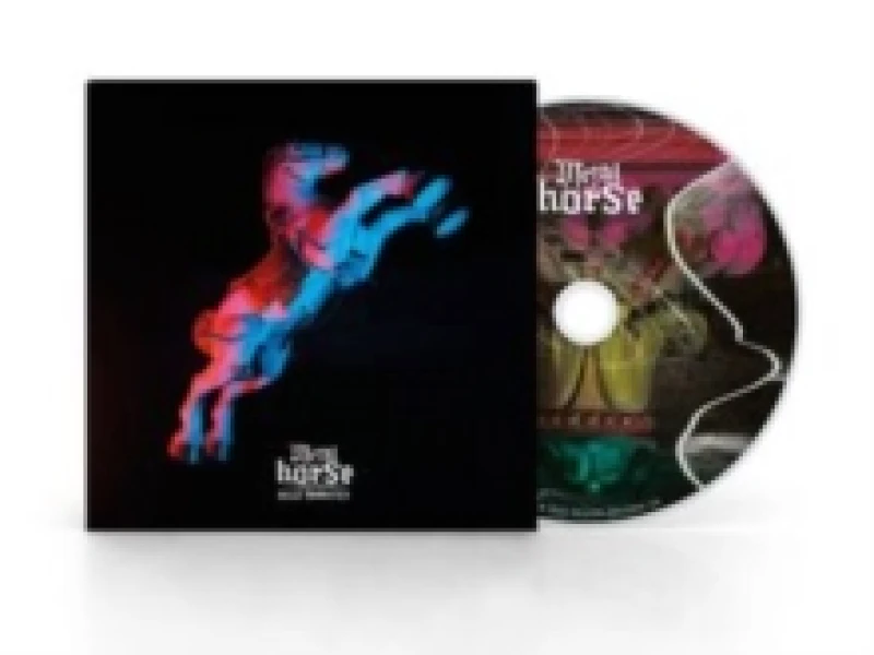 Image of Billy Nomates - Metalhorse CD Album - Used