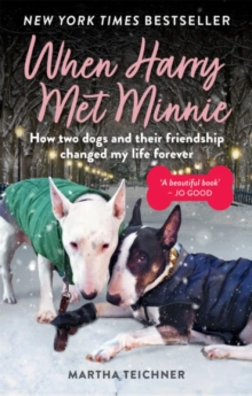 Image of When Harry Met Minnie : An unexpected friendship and the gift of love beyond loss Paperback / softback