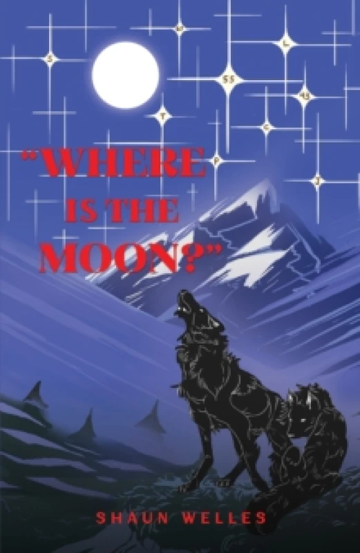 Image of Where is the Moon? Paperback / softback