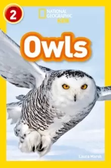 Image of Owls : Level 2