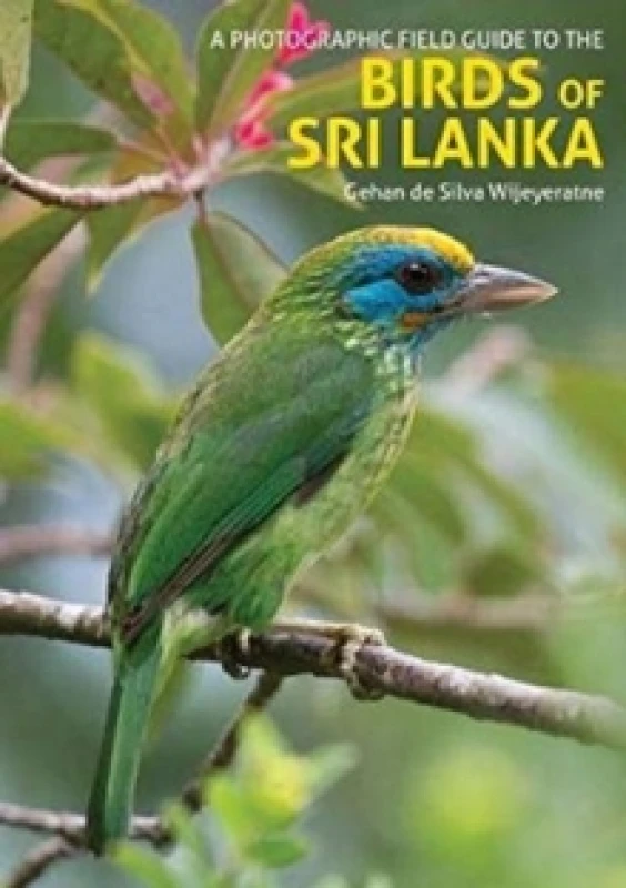 Image of The Birds of Sri Lanka : A Photographic Field Guide (2nd edition) Paperback / softback