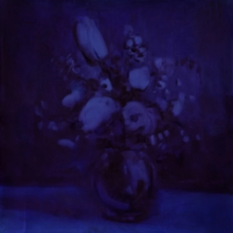 Image of Lithium Zion CD / Album