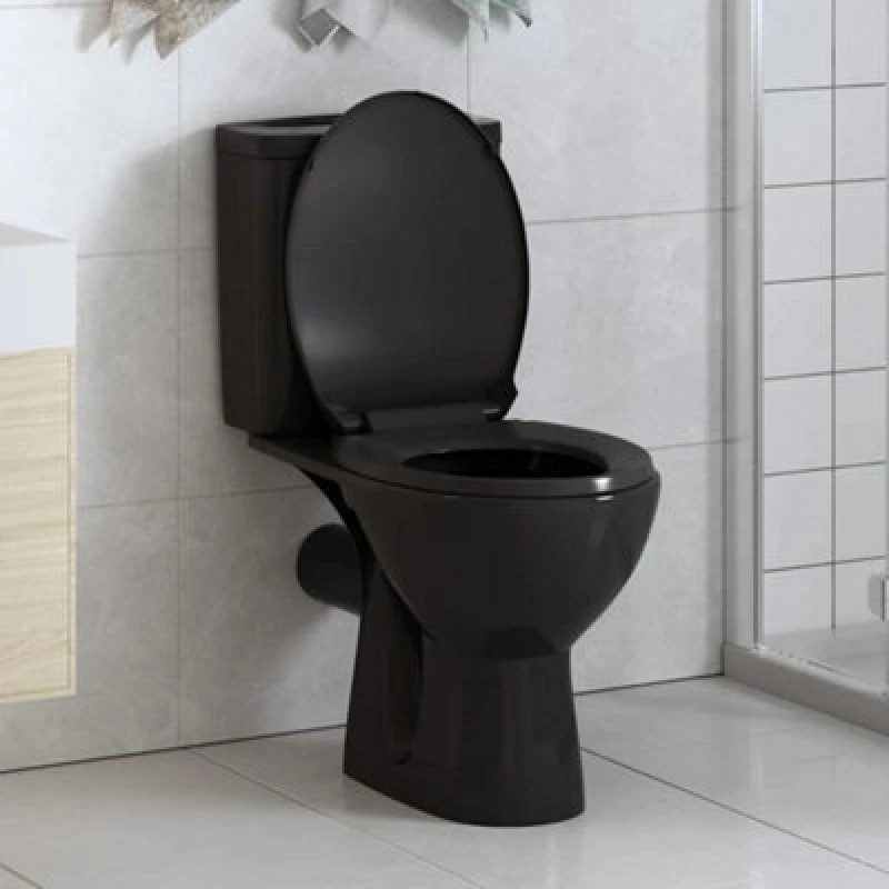 Image of VIDAXL Vidaxl - Soft-close Toilet Seat with Quick-release Design Black 8719883596228