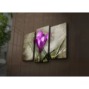Image of 3PAT?ACT-3 Multicolor Decorative LED Lighted Canvas Painting (3 Pieces)