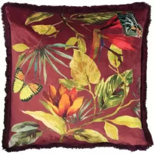 Image of Paoletti - Cahala Tropical Cushion Berry - Berry