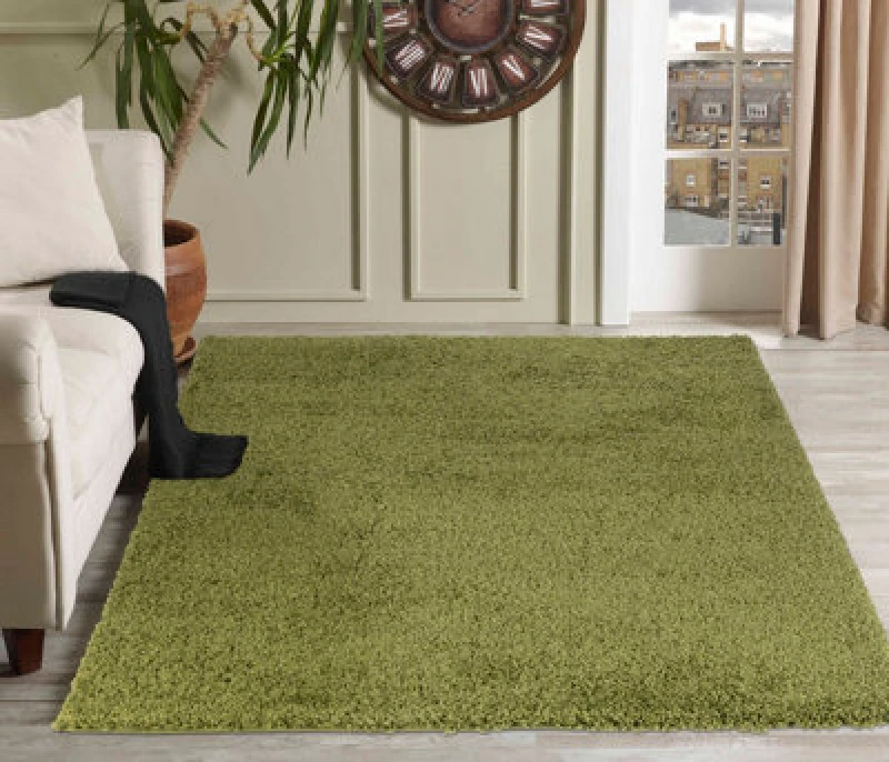 Image of Desire Rugs Plain Living Room Shaggy Area Rugs Green 120X170 Cm