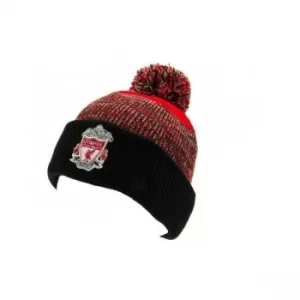 Image of Liverpool FC Ferndale Ski Hat RD
