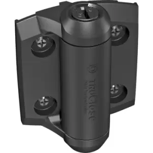 Image of D and D D & D TruClose Metal Gate Hinge 30kg (2 Pack) in Black