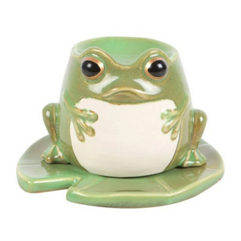 Image of Something Different Something Different Enchanted Forest Frog Oil Burner in Green Green One Size Unisex 5063527878359