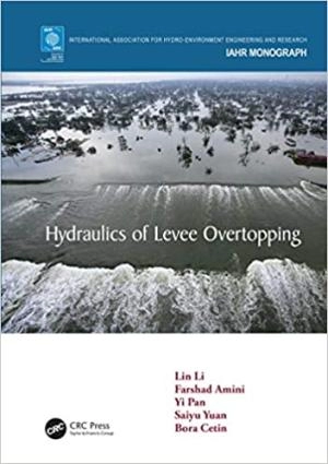 Image of Hydraulics of Levee Overtopping