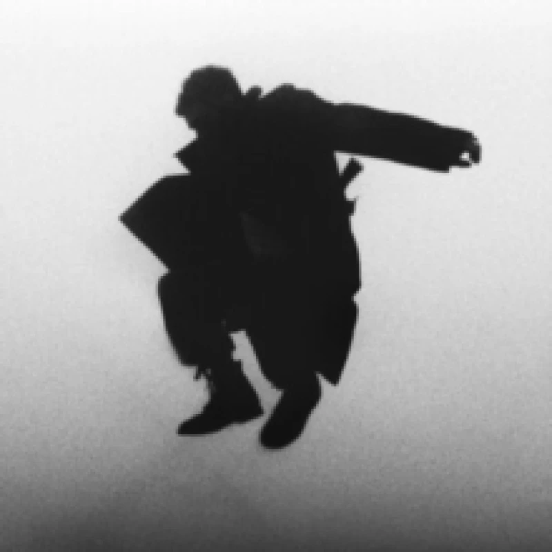 Image of Chasing the Chimera Vinyl