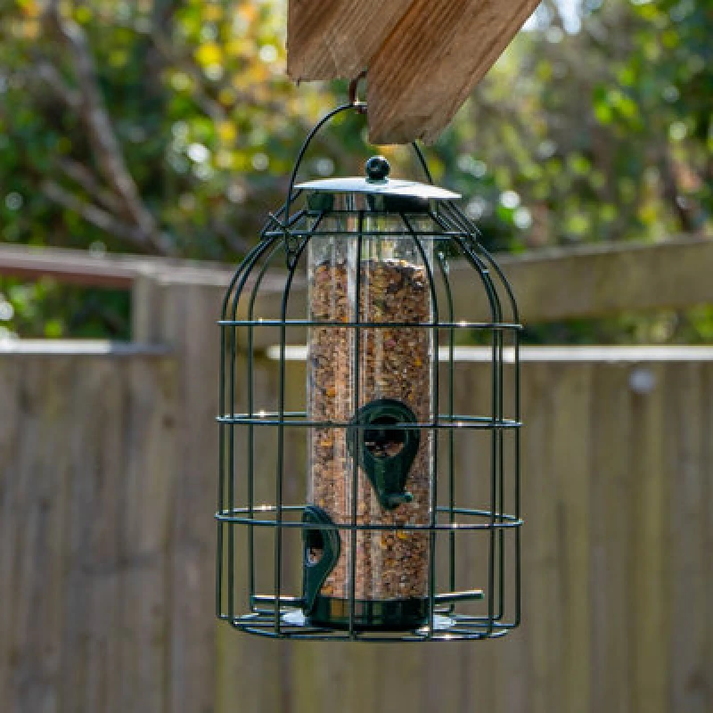 Image of Samuel Alexander SA Hanging Bird Seed Feeder with Squirrel Guard Green