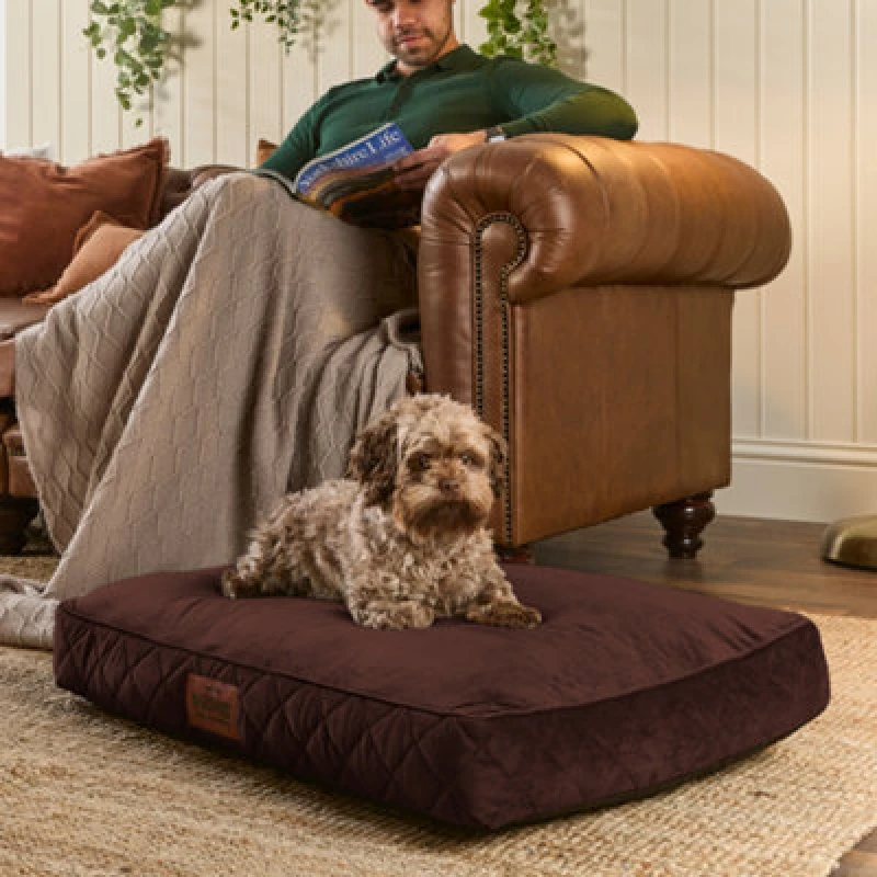 Image of Paws For Slumber Paws For Slumber Sherpa Silver Pet Bed-Small