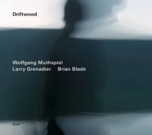 Image of Driftwood by Wolfgang Muthspiel/Larry Grenadier/Brian Blade CD Album