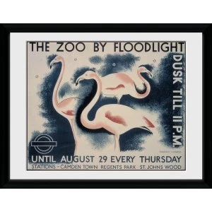 Image of Transport For London The Zoo By Floodlight 12" x 16" Framed Collector Print