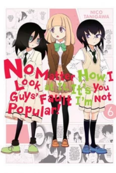 Image of No Matter How I Look at It Its You Guys Fault Im Not Popular. Vol. 6 by Nico Tanigawa Paperback