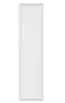 Image of Panel X2 Ecovision LED Panel 300 x 1200 48W Pure White 6400K, 4300lm, White, Inc. Driver