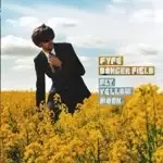 Image of Fyfe Dangerfield - Fly Yellow Moon (New Version) (Music CD)