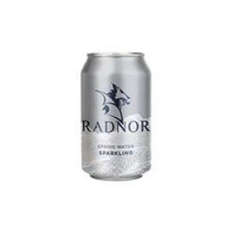 Image of Radnor Sparkling Spring Water 330ml Cans 148113 148113