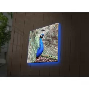 Image of 4040DACT-45 Multicolor Decorative LED Lighted Canvas Painting