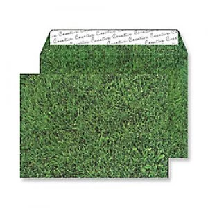 Image of Creative Senses Natural Finish Coloured Envelopes C5 Peel & Seal 162 x 229mm Plain 135 gsm Fresh Mown Grass Pack of 125