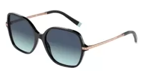 Image of Tiffany & Co. Sunglasses TF4191 80019S