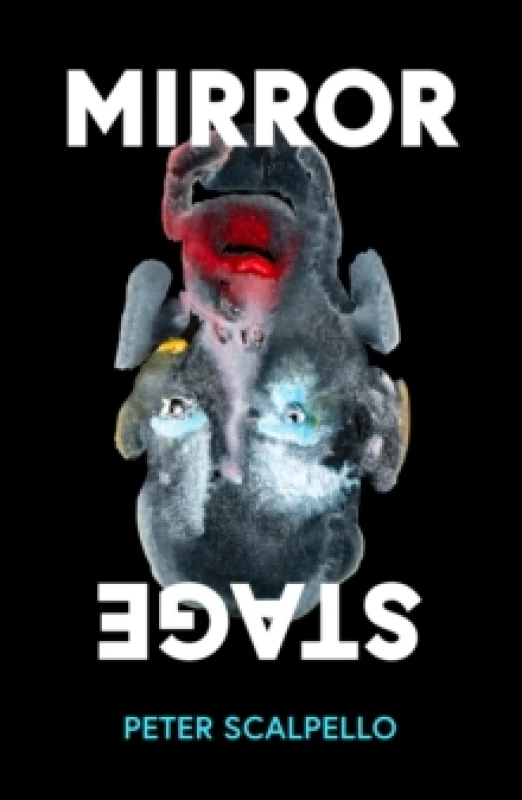 Image of Mirrorstage Paperback / softback