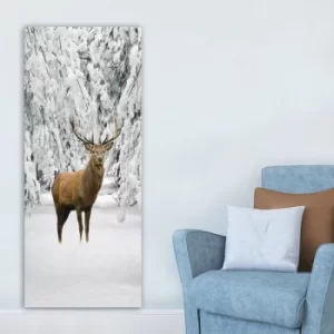 Image of DKY4578006179_50120 Multicolor Decorative Canvas Painting