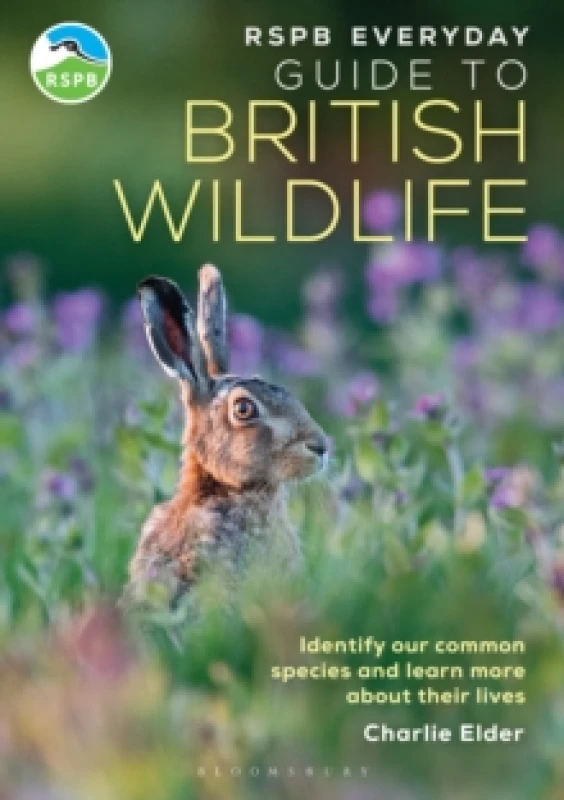 Image of RSPB Everyday Guide to British Wildlife : Identify our common species and learn more about their lives Paperback / softback