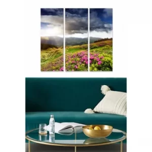 Image of MDF89062828 Multicolor Decorative MDF Painting (3 Pieces)