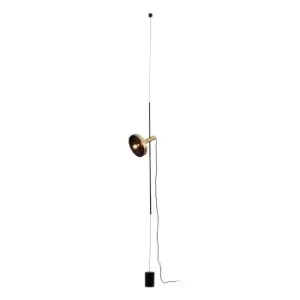 Image of Whizz Golden, Black Pendant, Floor Lamp