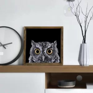 Image of MZM690 Multicolor Decorative Framed MDF Painting