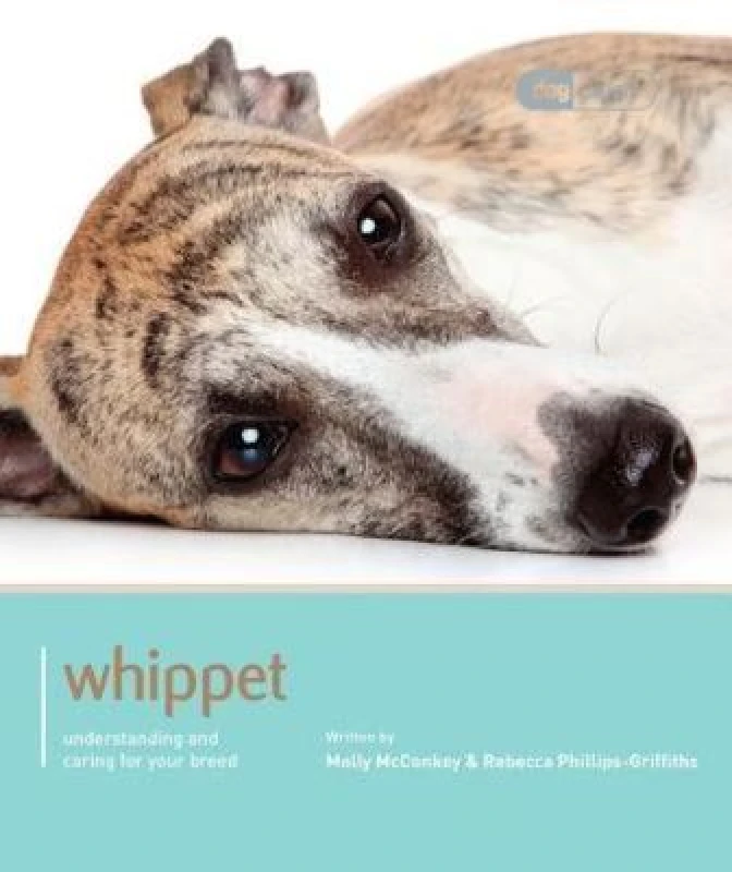 Image of Whippet by Molly Mcconkey Book
