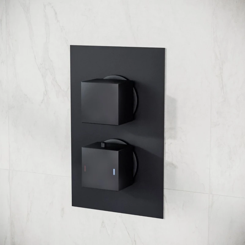Image of Nes Home Matte Black 2 Dial 1 Outlet Concealed Thermostatic Shower Square Refined Valve Black Unisex